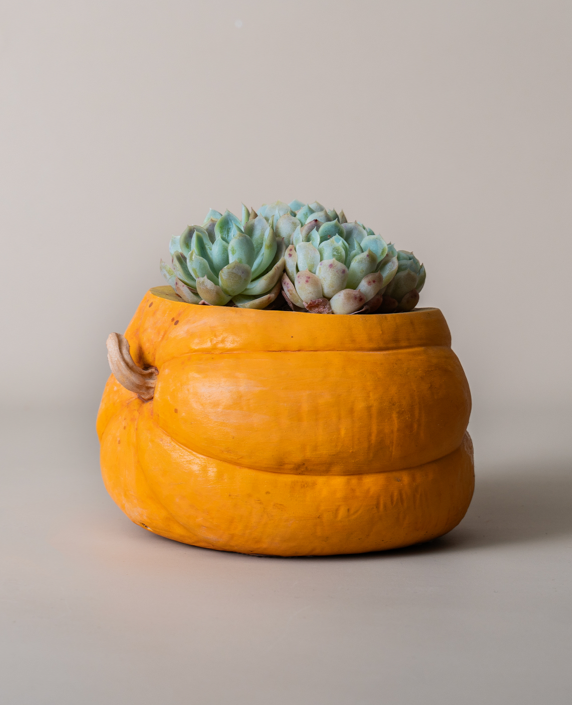 Handmade Ceramic Pumpkin Shaped Planter