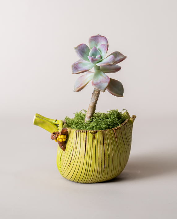 Handcrafted Ceramic Planter - Banana Leaf Design - Realistic and Adorable