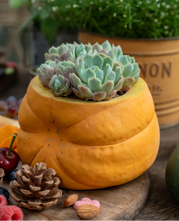 Handmade Ceramic Pumpkin Shaped Planter