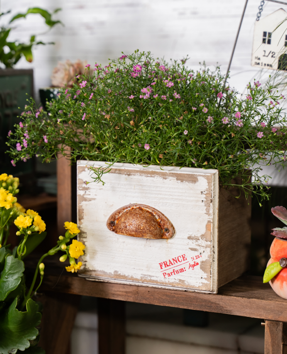 Drawer Wooden Flower Pot - Garden Decor Planter