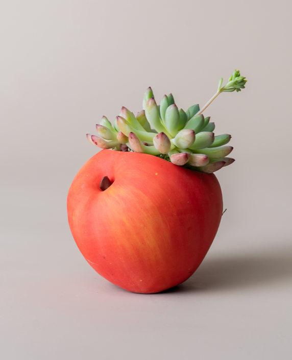 Fruit and vegetable series succulent ceramic flower pot-Handmade flowerpot