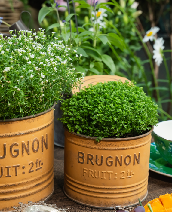 Canned Iron Planter Set of 2