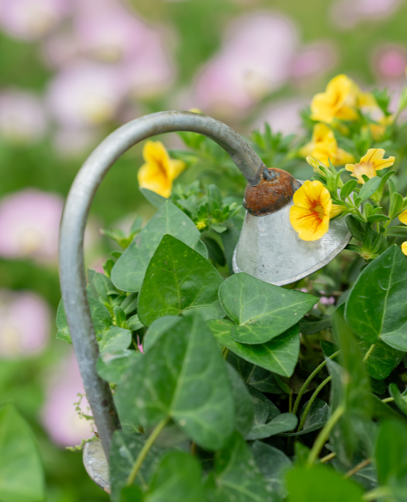 Bathtub Wrought Iron Flower Pot - Garden Decor Planter