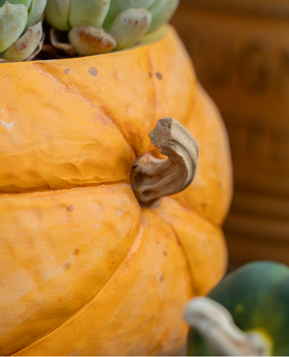 Handmade Ceramic Pumpkin Shaped Planter