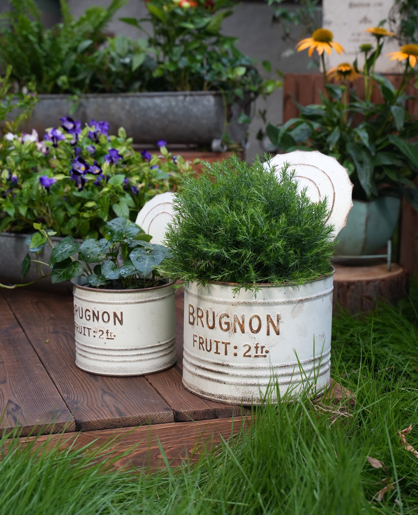 Canned Iron Planter Set of 2