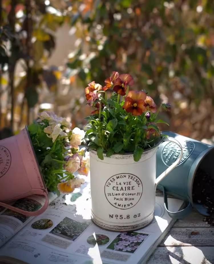 Vintage-Style Iron Cup Planter