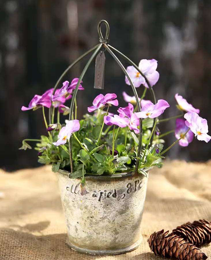 Rustic Creative Birdcage Iron Decorative Flower Pot