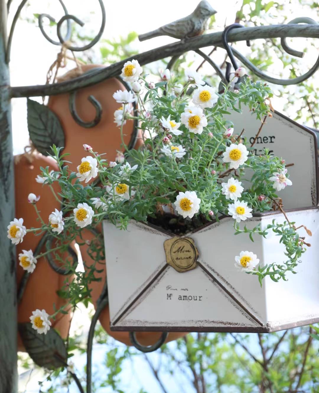 Pastoral Style Envelope Wall-mounted Iron Flower Pot
