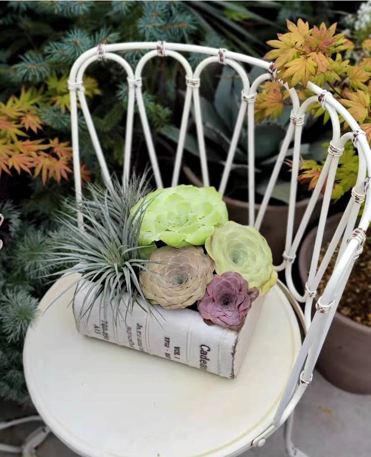 Rustic Iron Book Flower Pot