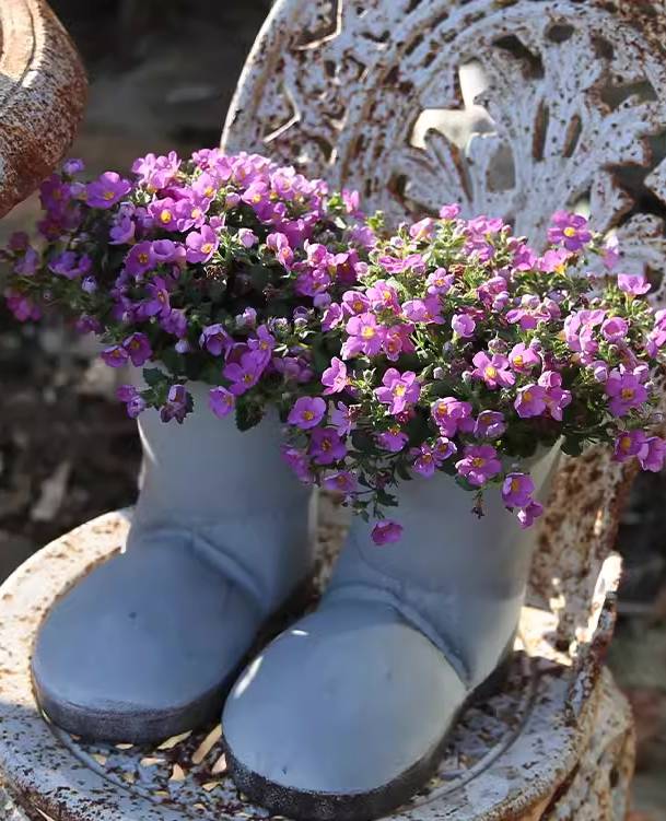 Whimsical Big-Headed Boot Iron Planter