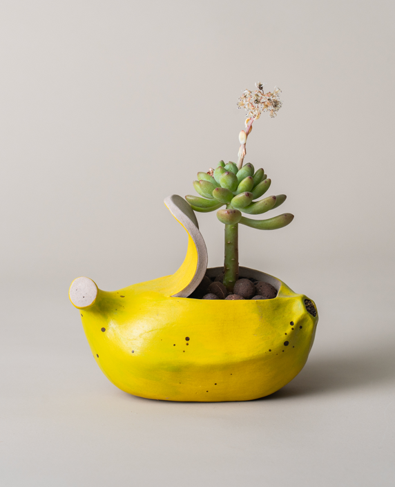 Fruit and vegetable series succulent ceramic flower pot-Handmade flowerpot