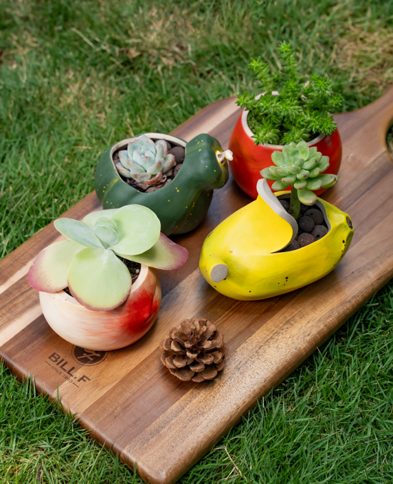 Handcrafted Ceramic Plant Pots Set of 4