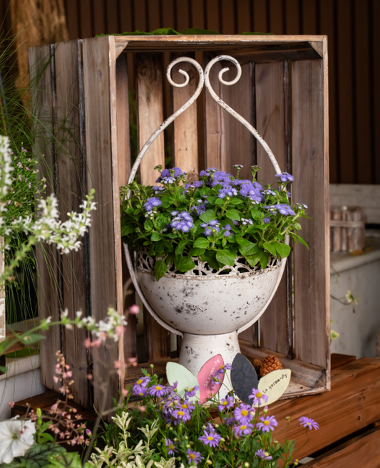 White Vintage Distressed Iron Planter with High Legs
