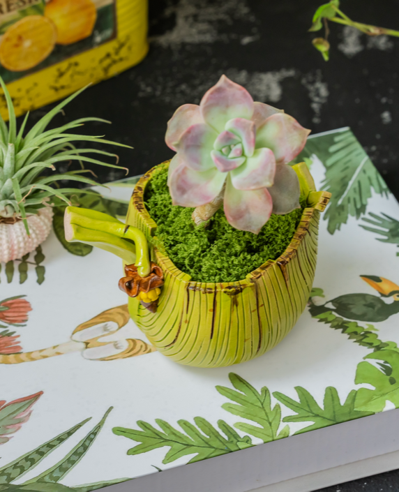 Handcrafted Ceramic Planter - Banana Leaf Design - Realistic and Adorable