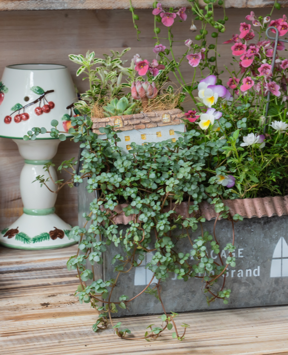 Small House Iron Planter - Garden Decor Flower Pot