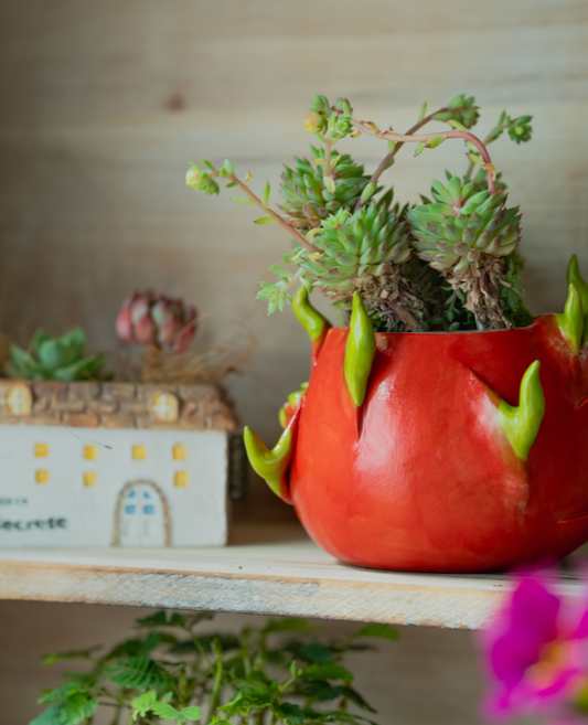 Handcrafted Ceramic Planter - Dragon fruit Design - Realistic and Adorable