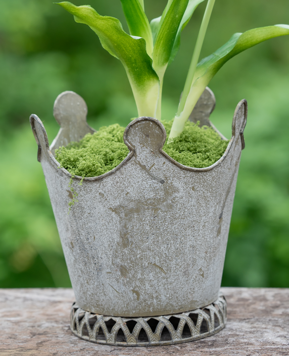 Crown Iron Planter - Garden Decor Flower Pot