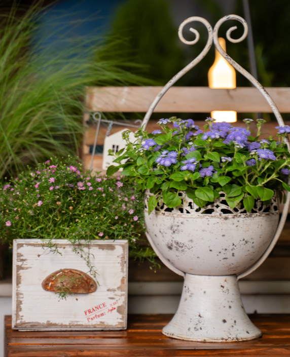 White Vintage Distressed Iron Planter with High Legs