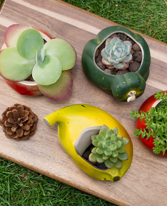 Handcrafted Ceramic Plant Pots Set of 4