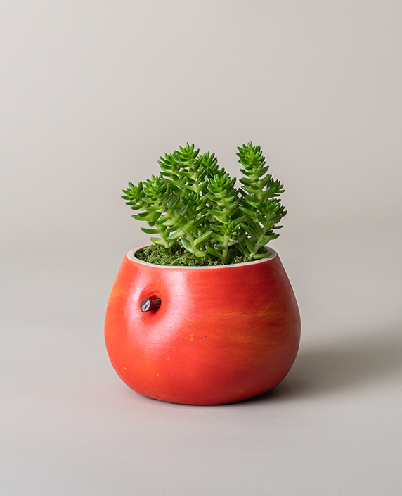 Fruit and vegetable series succulent ceramic flower pot-Handmade flowerpot