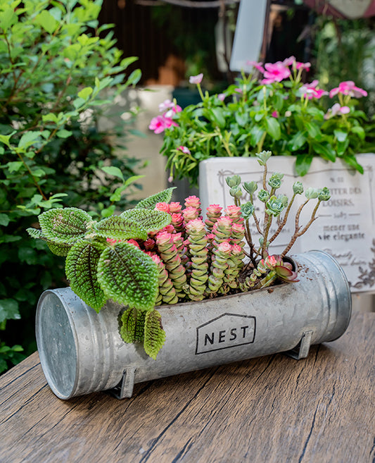 Vintage Long Round Iron Mailbox Planter