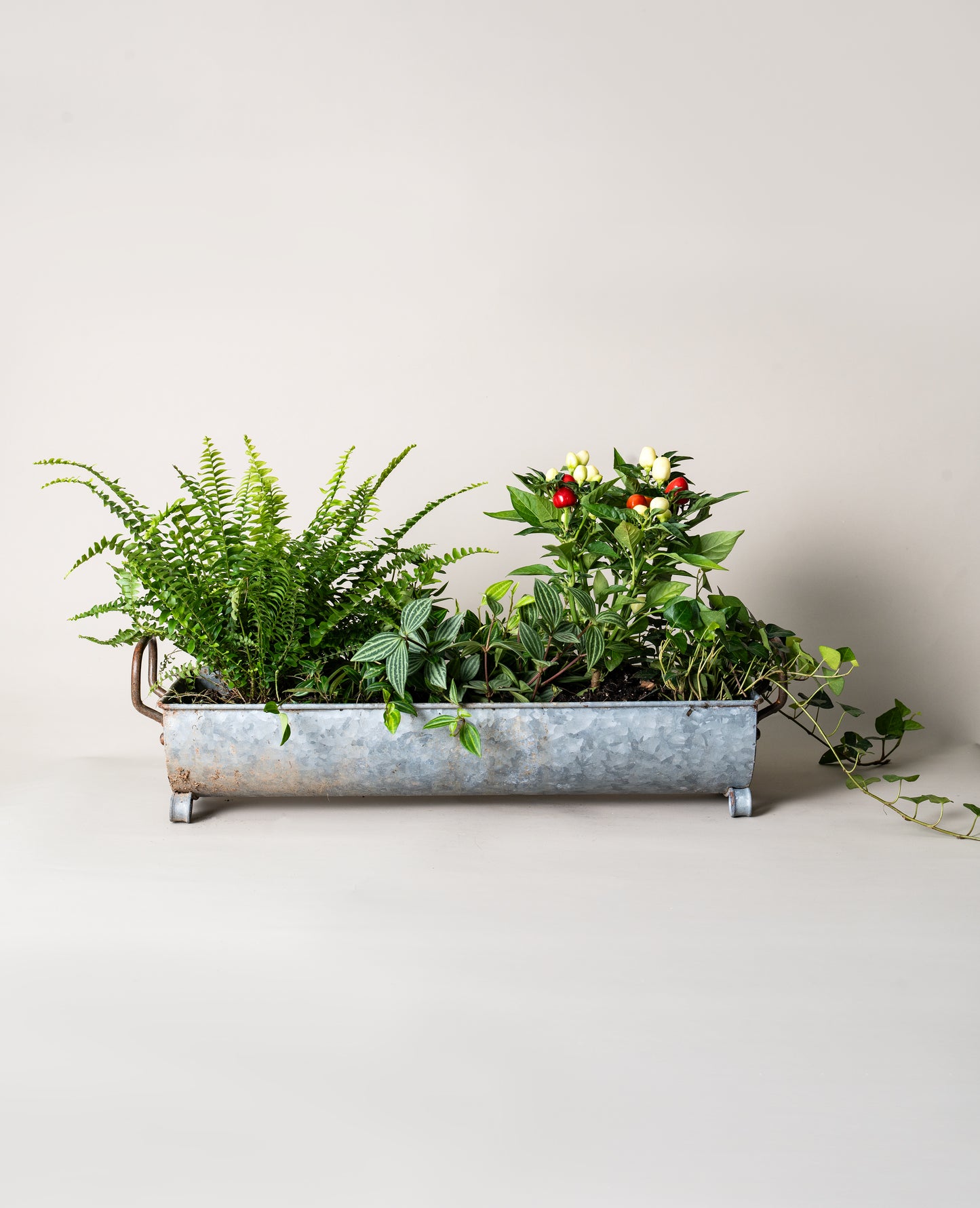 Double Handle Oval Retro Iron Garden Planter