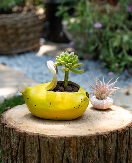 Fruit and vegetable series succulent ceramic flower pot-Handmade flowerpot