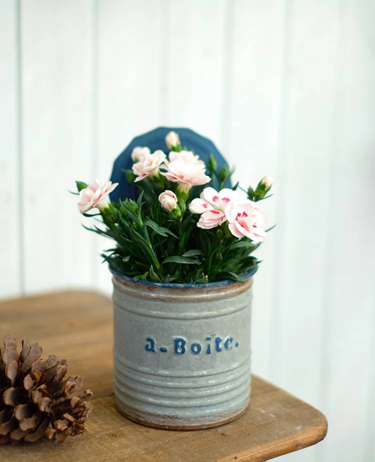 Pastoral Style Aged Round Lid Iron Can Flower Pot Set of 2